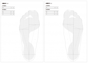 3D foot scanner