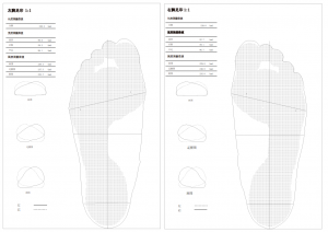 3D foot scanner 三维足部扫描仪