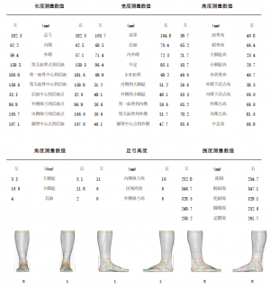 3D foot scanner 三维足部扫描仪